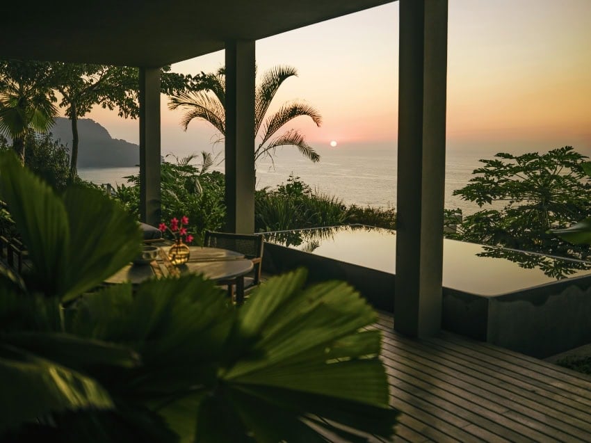 Mandarina de palisandro