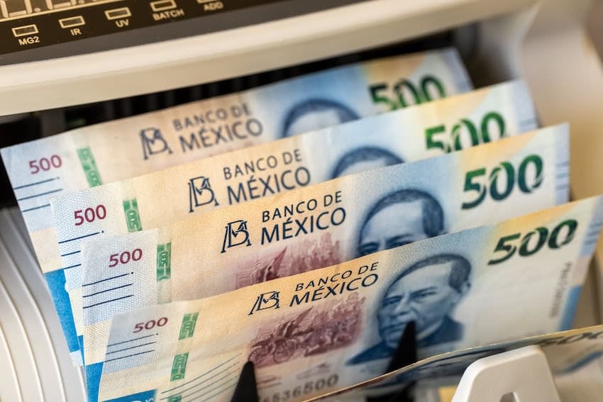Pesos mexicanos en máquina contadora de efectivo. Dinero de México. Concepto de negocio. Tipo de cambio del peso, Liquidaciones financieras. de cerca