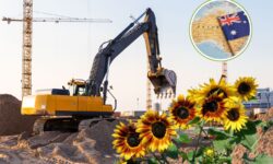 En Australia están plantando girasoles en polígonos industriales para limpiar el suelo de metales pesados
