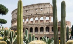 Roma en Cactus: este fin de semana no te pierdas el evento más esperado por los amantes de las suculentas