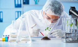 OGM de nueva generación: la UE dice sí a la desregulación, pero ¿qué encontraremos (y qué no) en la etiqueta?