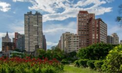 Por fin el Plan Nacional de Restauración de la Naturaleza se hace realidad (y es la oportunidad que no podemos desperdiciar)