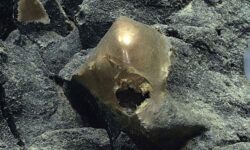Resuelto el misterio del huevo de oro de Alaska: la esfera encontrada en las profundidades ya tiene nombre
