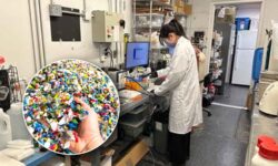 Transformar plástico en vinagre gracias al sol: el método revolucionario que podría reducir los residuos en el mundo