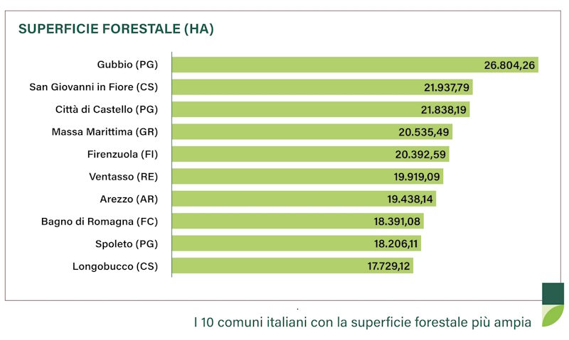 Área forestal