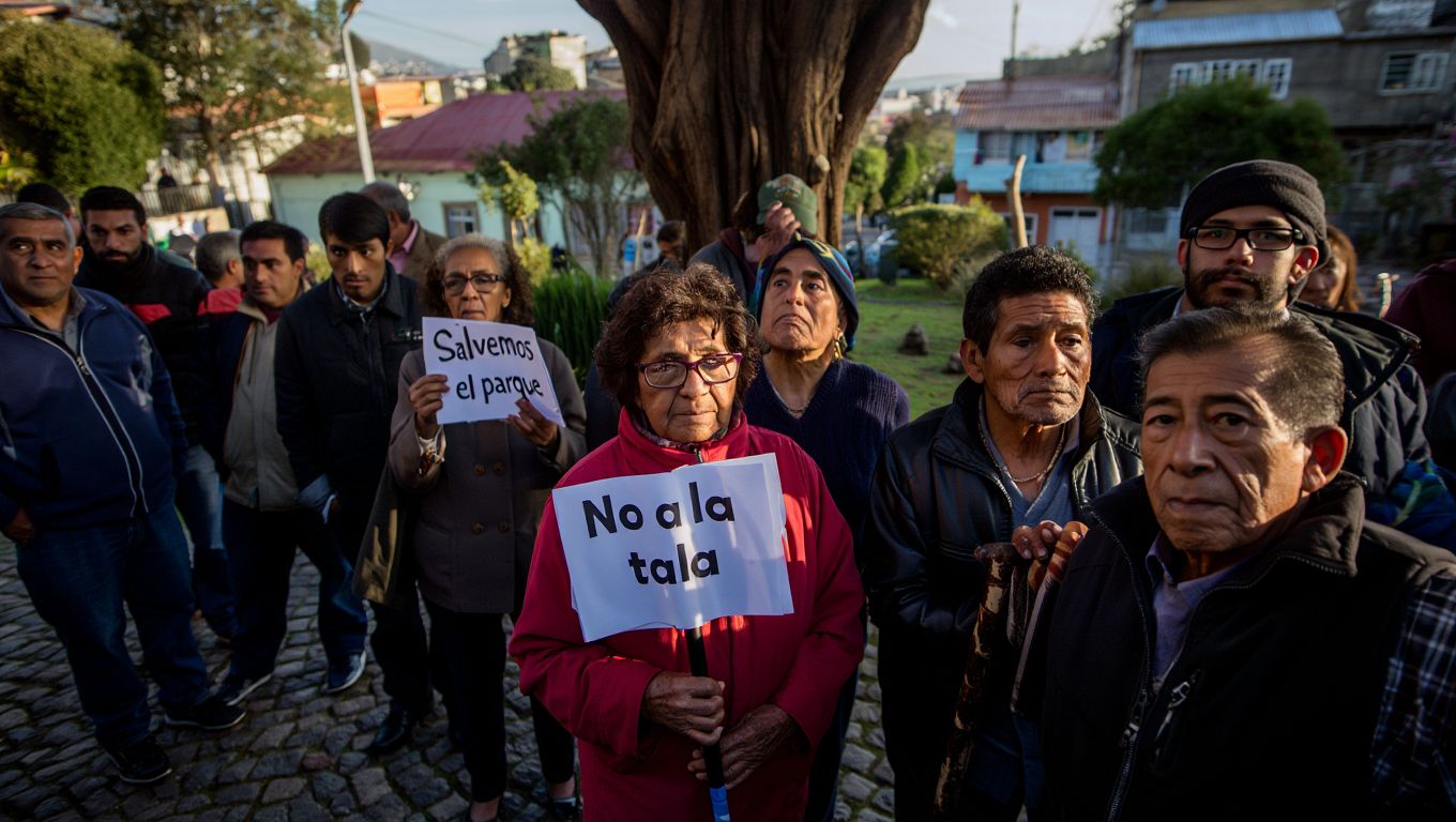En Valparaíso los vecinos lograron frenar la tala de un parque ...