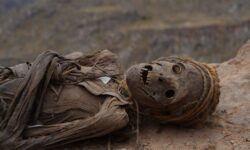 Hallaron en los Andes una momia inca que lleva más de 500 años casi intacta