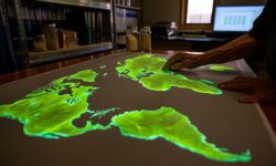 Un mapa mundial revela la inmensa red de hongos que alimenta los bosques y almacena el carbono