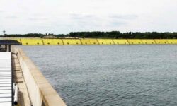 La paradoja de Mose en la naturaleza: salva a Venecia de la marea alta, pero corre el riesgo de acabar con el ecosistema de la laguna