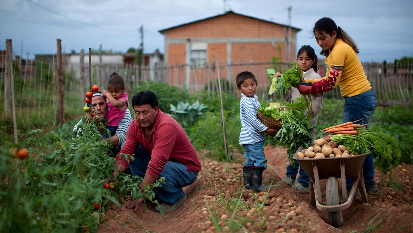 Comparten una misma huerta entre seis familias de un barrio de Córdoba y dividieron a la mitad el gasto en verduras