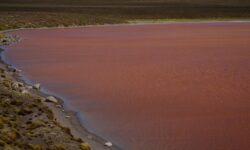 Durante años el agua de una laguna del altiplano cambiaba de color sin explicación y por fin saben por qué