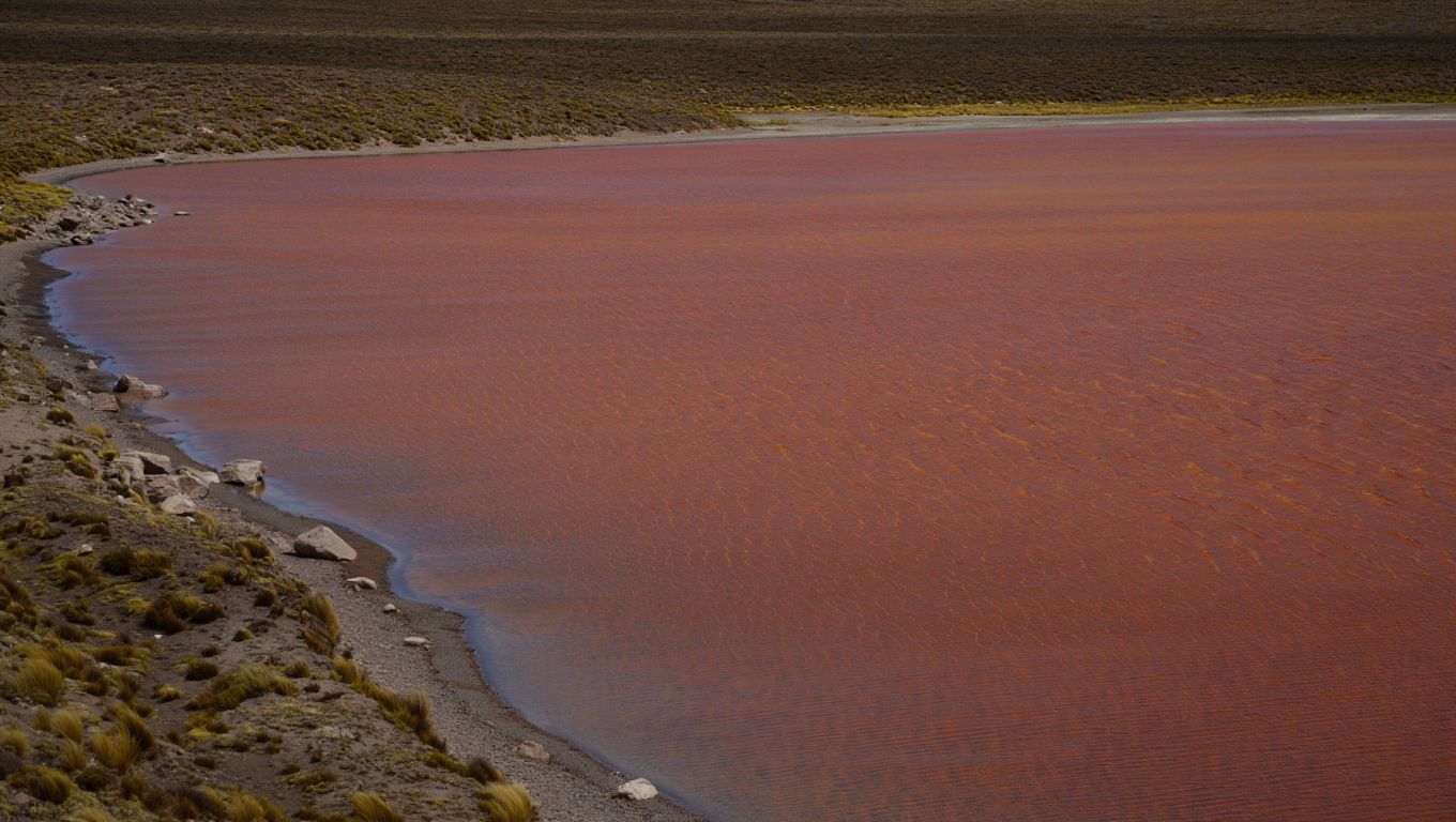 Durante años el agua de una laguna del altiplano cambiaba de color sin explicación y por fin saben por qué