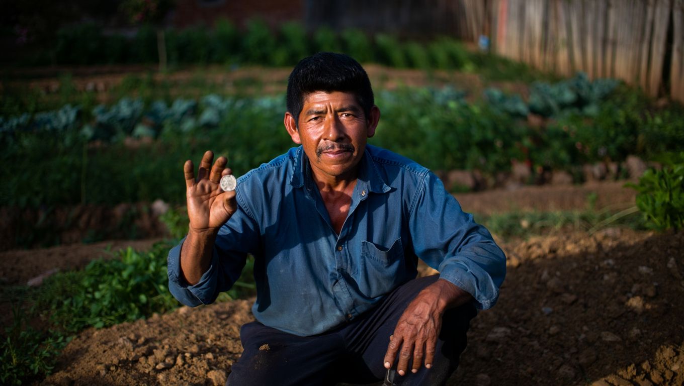 Un jardinero de Quito encontró una moneda antigua en su huerto y un museo se la compró por más de 40 mil dólares