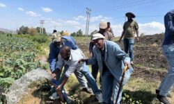 En Etiopía una cooperativa quemó 2.305 litros de diésel en tres meses: ahora riega sus campos gracias a la energía solar