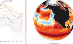 Los océanos alcanzan la temperatura más alta jamás registrada (mientras El Niño continúa fortaleciéndose)