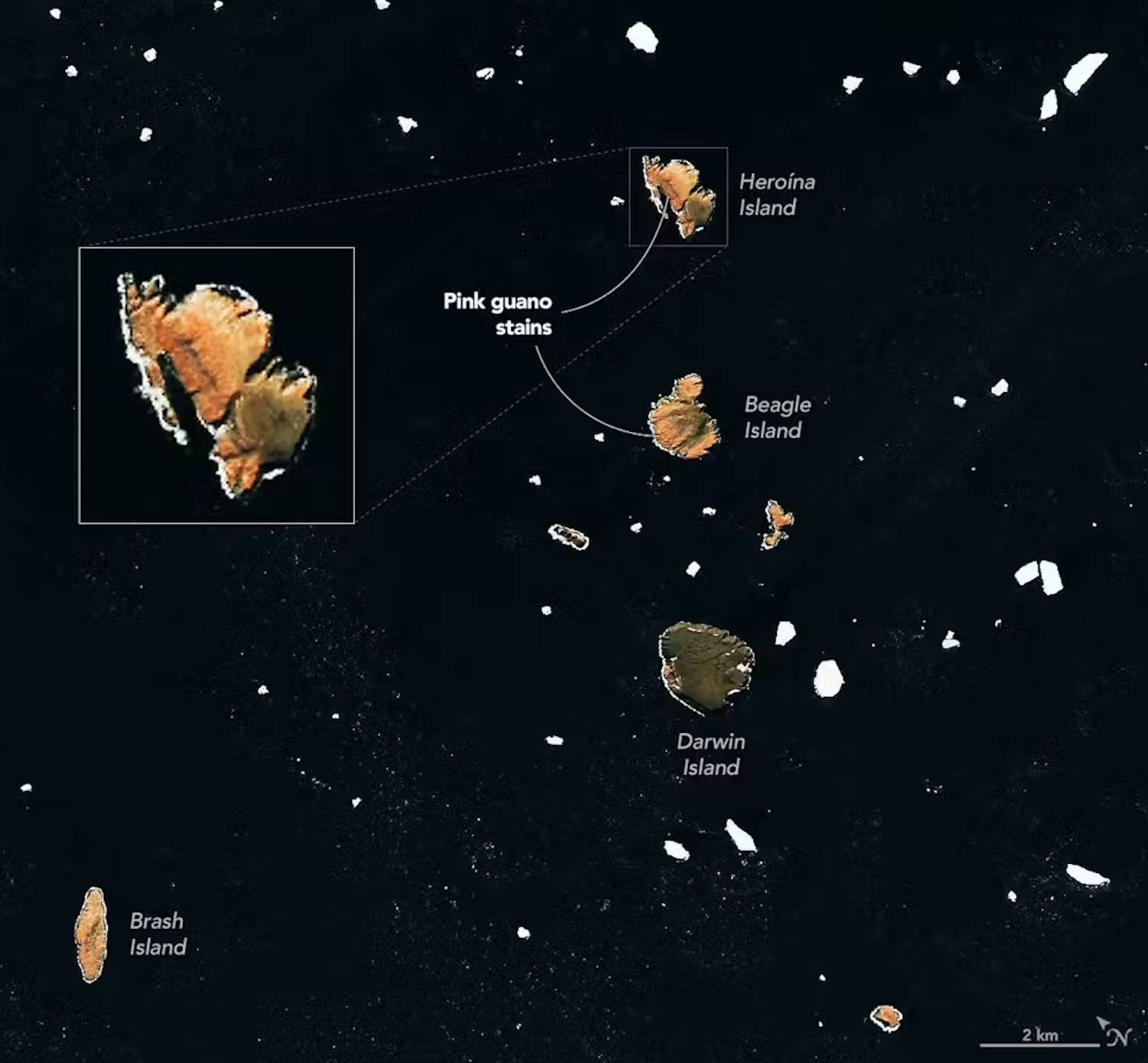 heces de pingüinos cambio climático