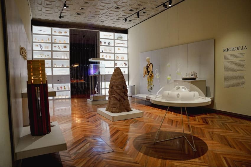 La Sala Microbia del Museo Franz Mayer