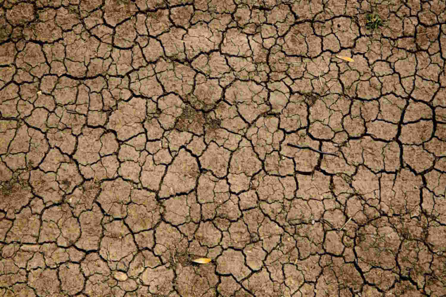 Primer plano cenital de un suelo arcilloso y árido completamente agrietado debido a la sequía y la falta de agua