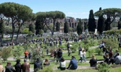 En Roma se puede admirar el florecimiento de rosas antiguas y raras incluso en otoño: la rosaleda municipal ha reabierto (y es gratis)