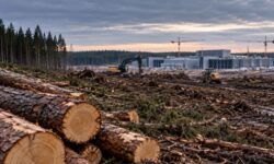 Google taló 330 hectáreas de bosque en Finlandia para construir un centro de datos
